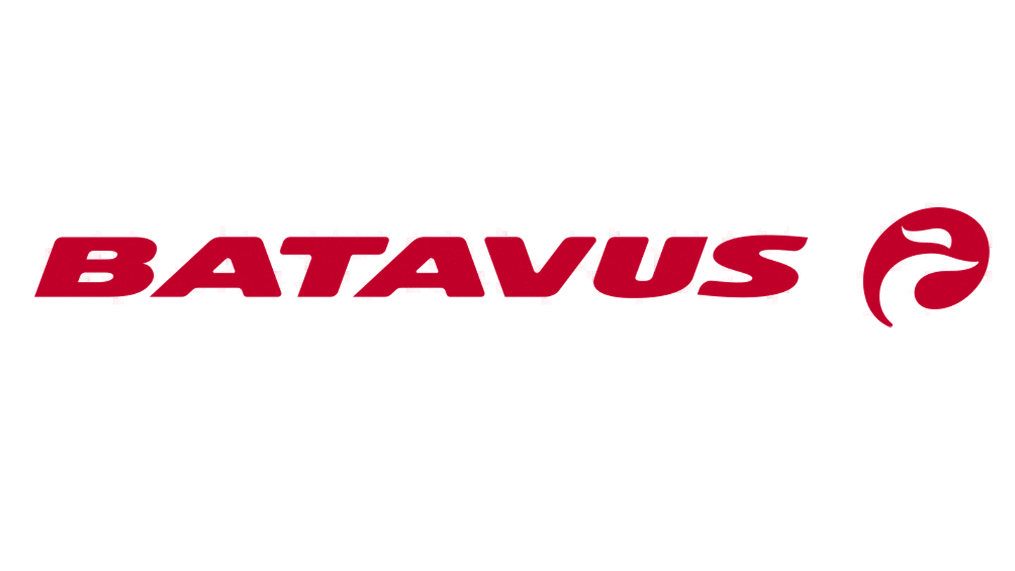 Batavus