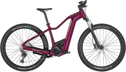 Bergamont E-Revox Pro FMN