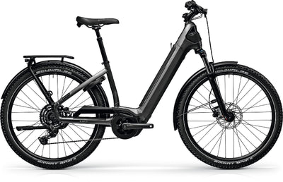 E-Bike MTB mit Straßenzulassung