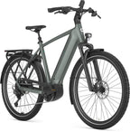 Gazelle Ultimate T11
