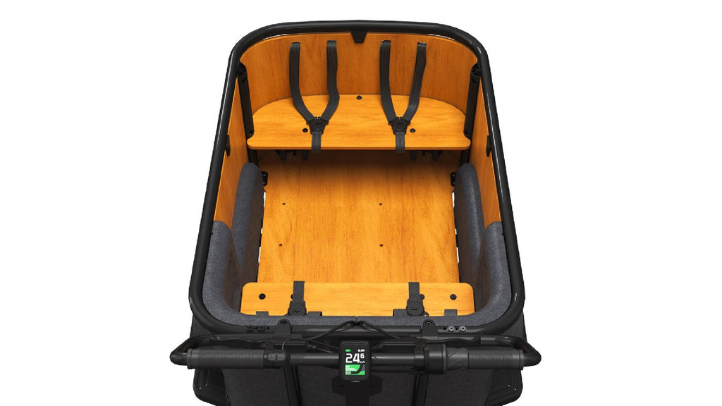 Cangoo Buckle Up - 700 Wh - 2026 - 26 Zoll - Unisex Cargo