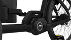 Cangoo Buckle Up - 700 Wh - 2026 - 26 Zoll - Unisex Cargo