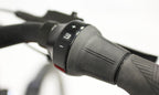 Velo de Ville AEB 890 - 500 Wh - 2024 - 28 Zoll - Tiefeinsteiger